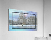 Two Winter Trees Version 2  Acrylic Print