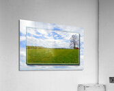 Country Meadow Ver 2  Acrylic Print