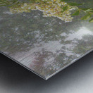 Crepe Myrtle Variation 3 OS Metal print