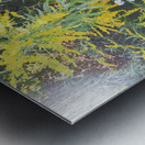 Goldenrod Version 3 OS Metal print