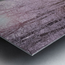 Gypsy Winter Road OS Metal print