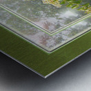 Crepe Myrtle Var 3 Metal print