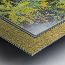 Goldenrod Vers 3  Metal print