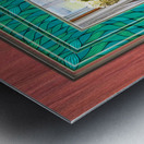 Hydrangeas in Window TF 14 x 16 Metal print