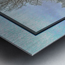 Two Winter Trees Version 2  Metal print