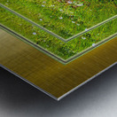 Wildflowers Var 2  Metal print