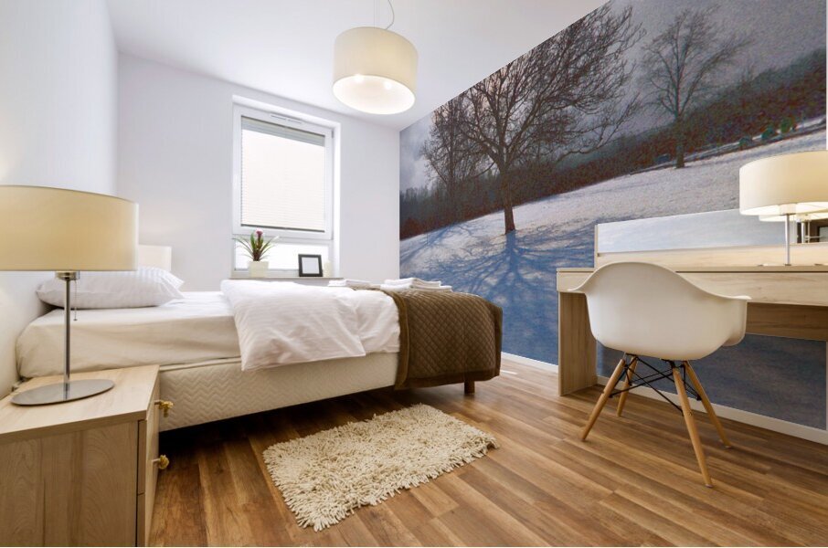 Walnut Tree Snow and Shadow OS Mural print