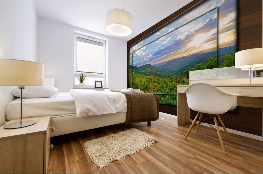 Franklin Morning TF Mural print