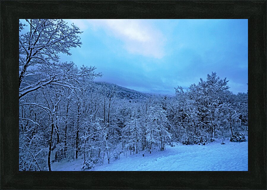  Fine Art print