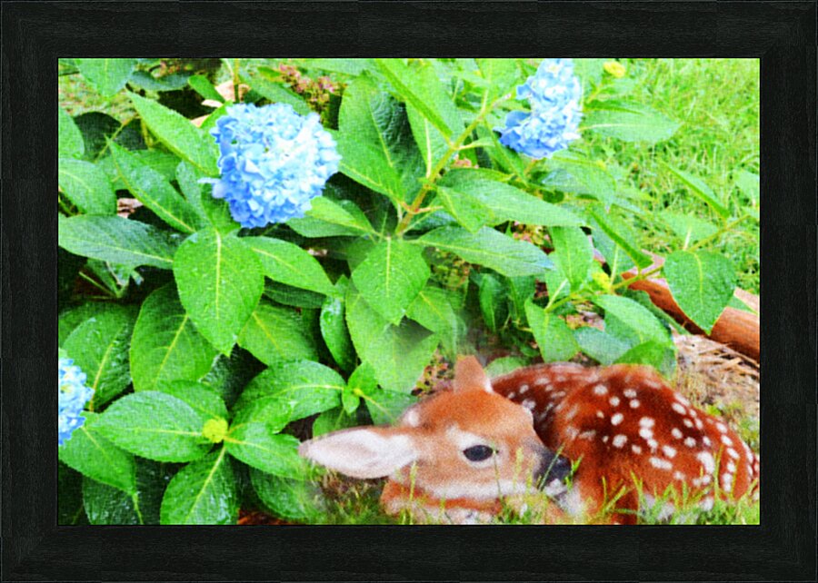  Fine Art print