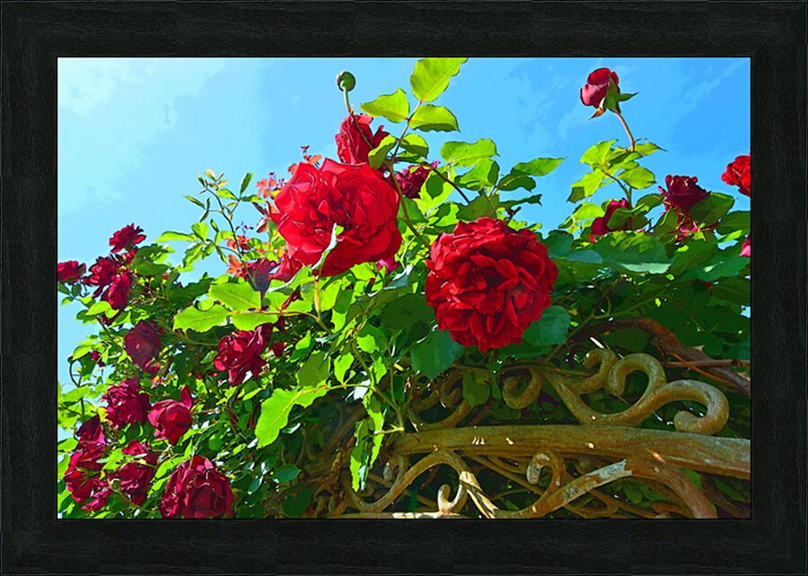 Rose Arbor OSC Picture Frame print