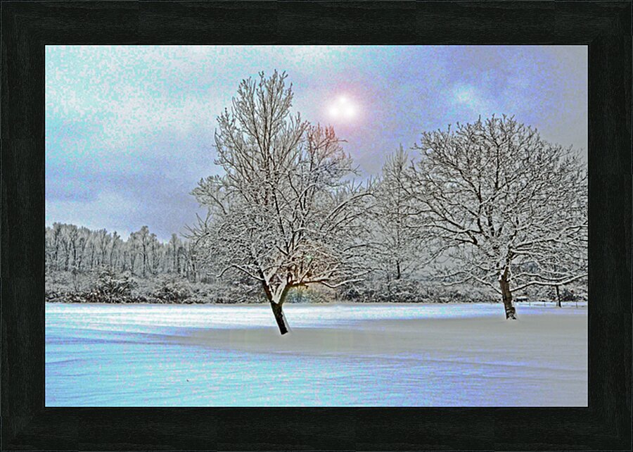 Two Winter Trees Version 2 OS Picture Frame print