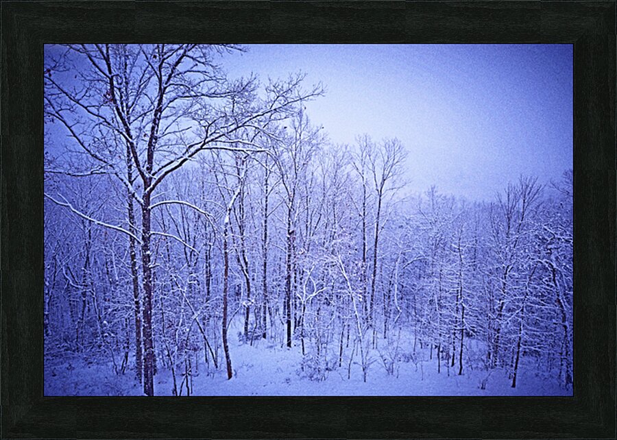 Winter Blues OS Picture Frame print