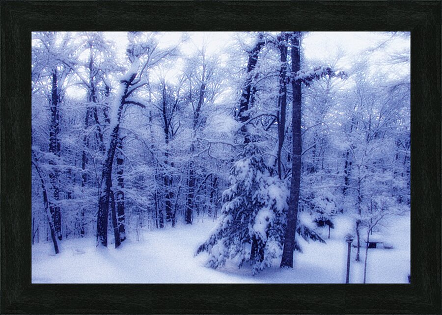 Winter Glow OS Picture Frame print