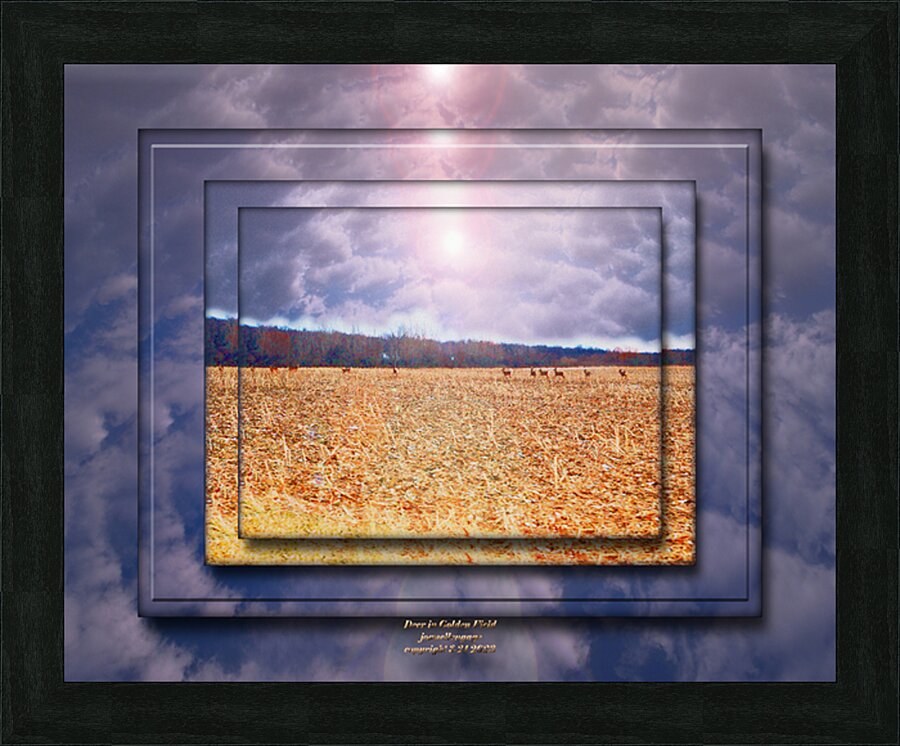  Fine Art print