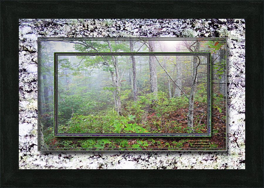  Fine Art print