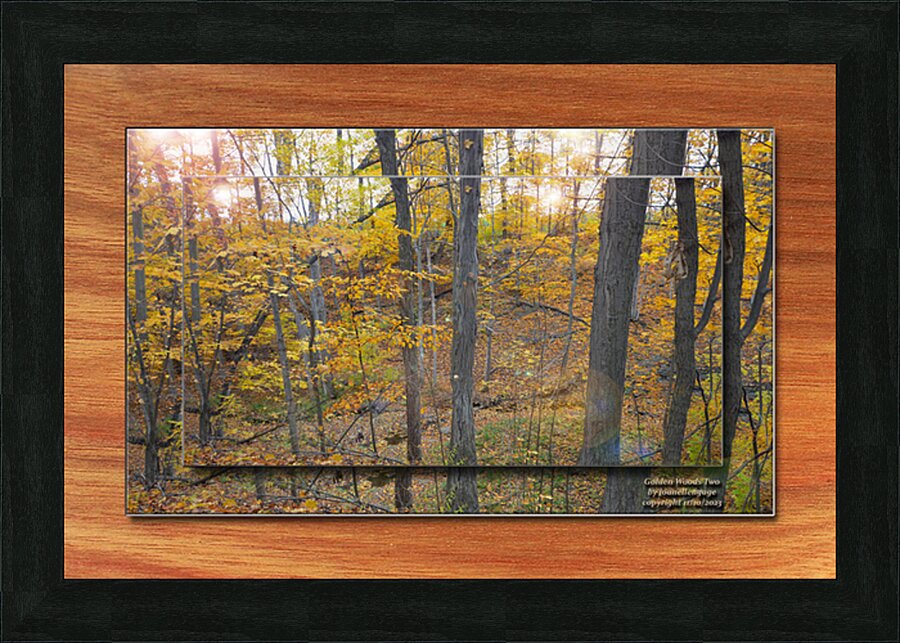  Fine Art print