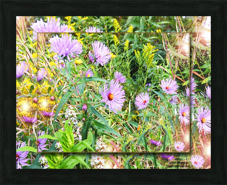  Fine Art print