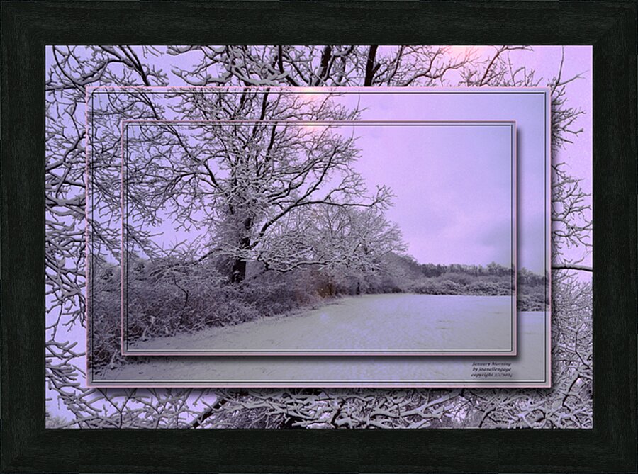  Fine Art print