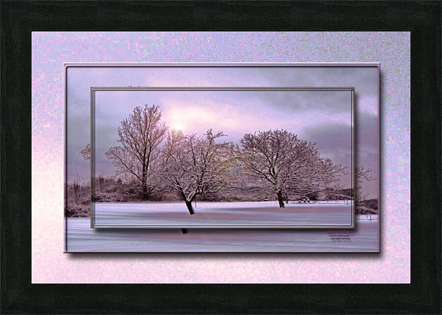 January Trees Version 2 DF Picture Frame print