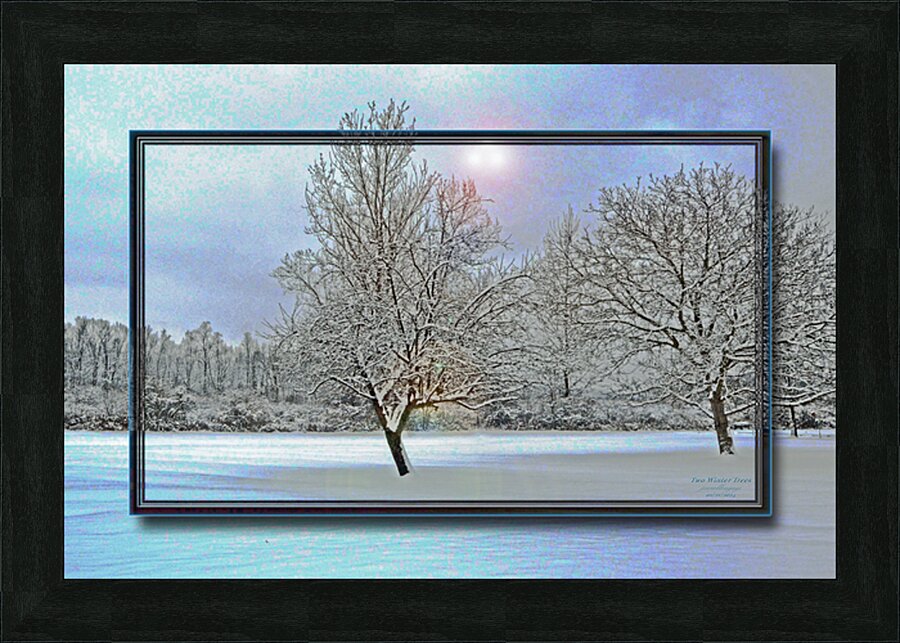 Two Winter Trees Version 2  Picture Frame print