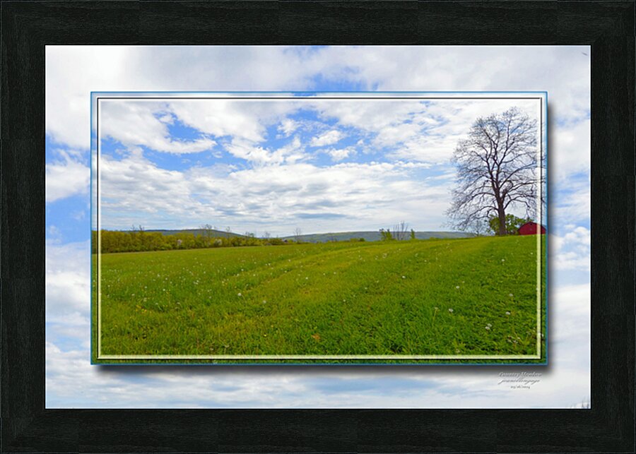 Country Meadow Ver 2  Picture Frame print