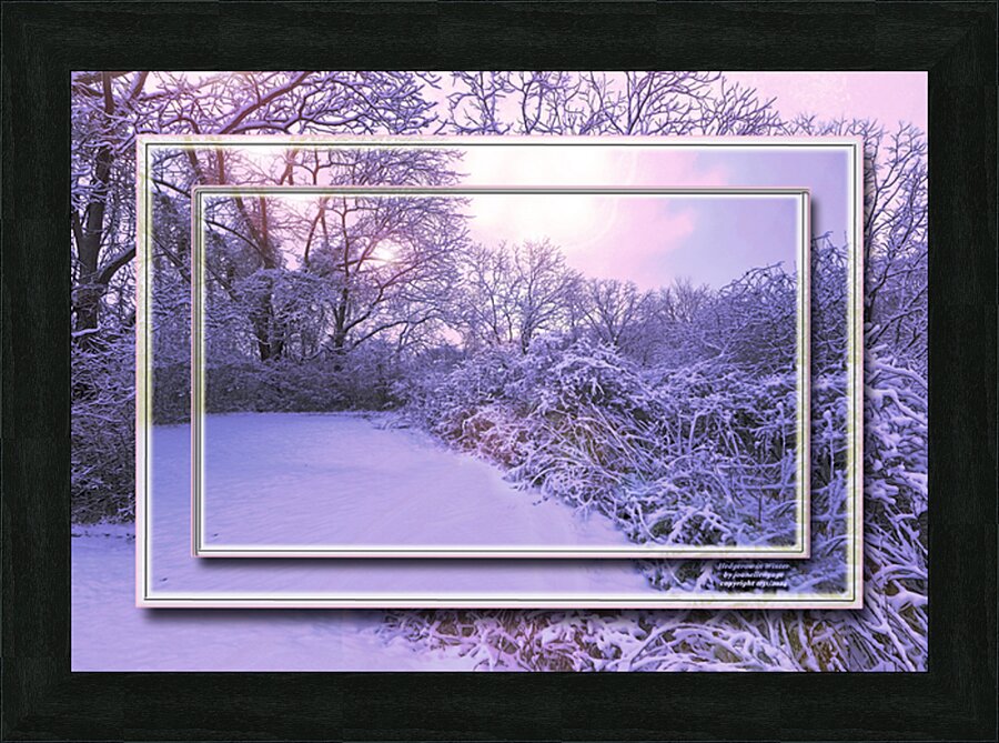  Fine Art print