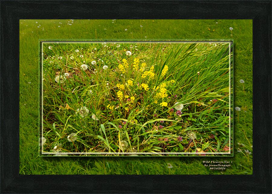 Wildflowers Var 1  Picture Frame print