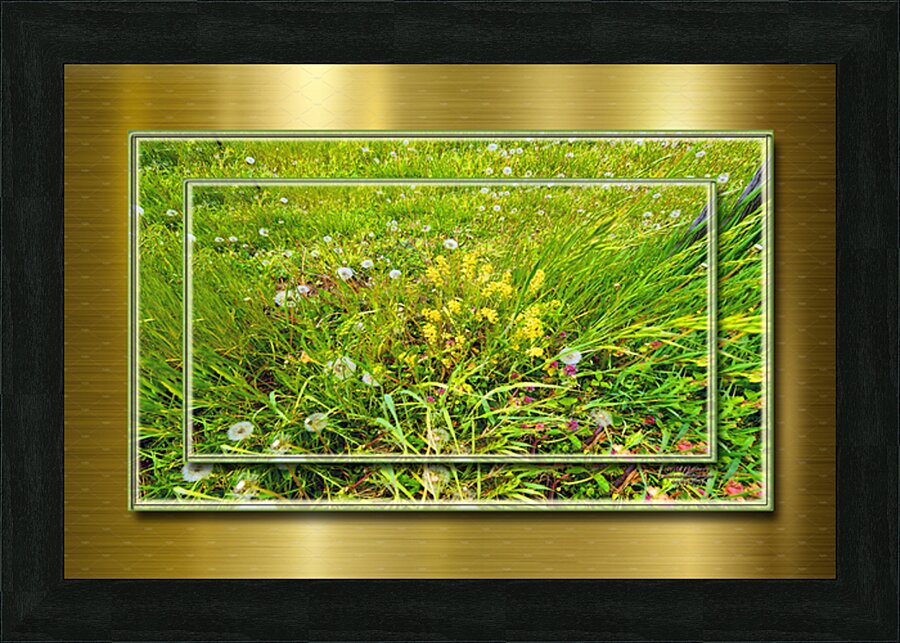 Wildflowers Var 2  Picture Frame print