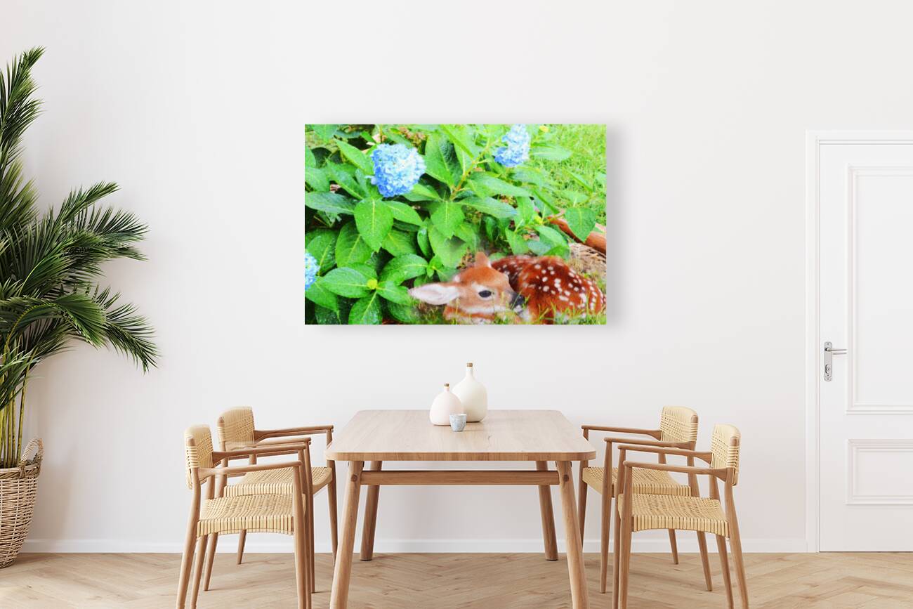 Fawn in Hydrangea OS Reproduction