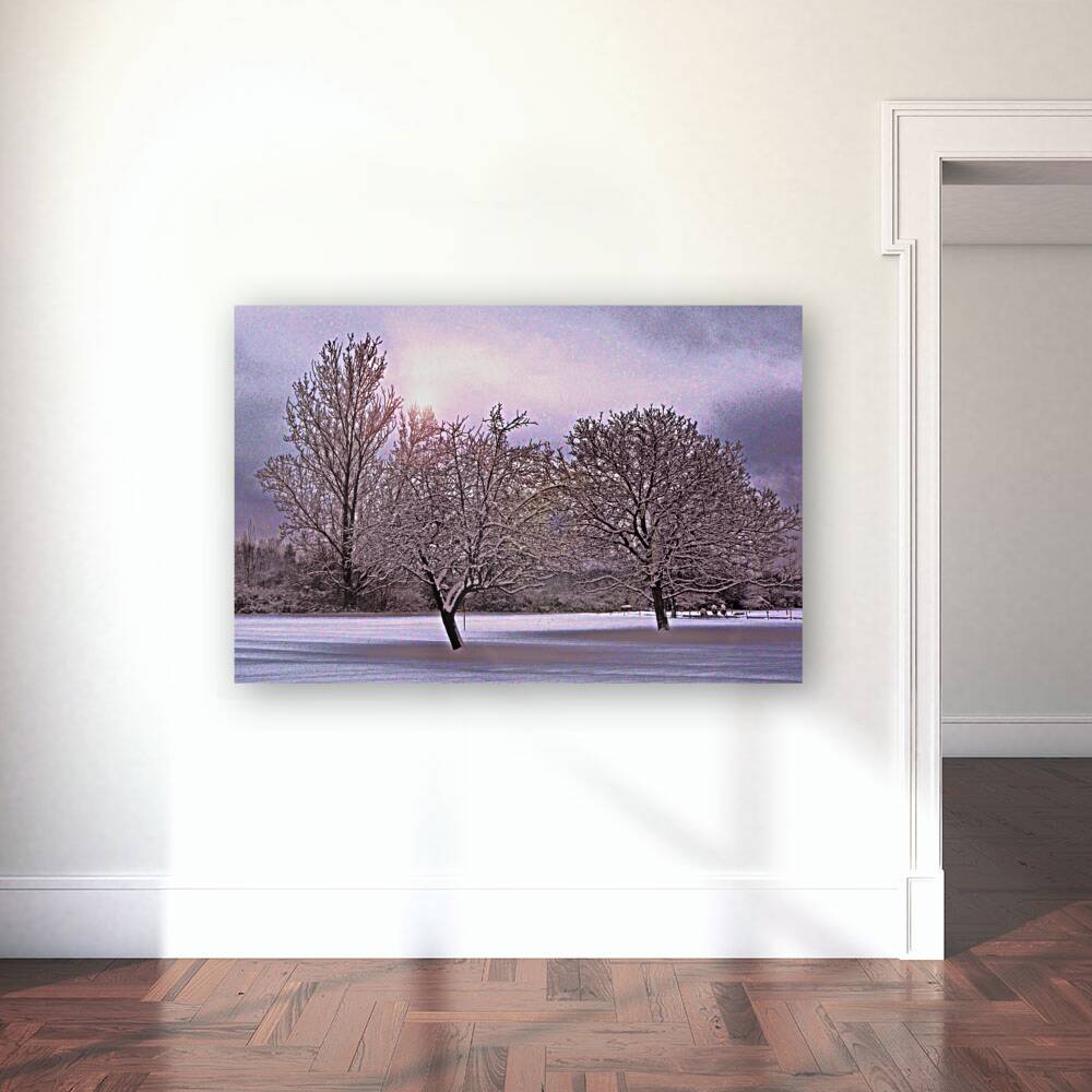 January Trees C2 Reproduction