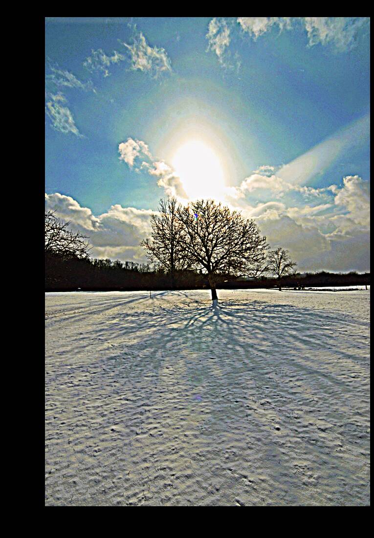 Shadow and Snow OS Reproduction