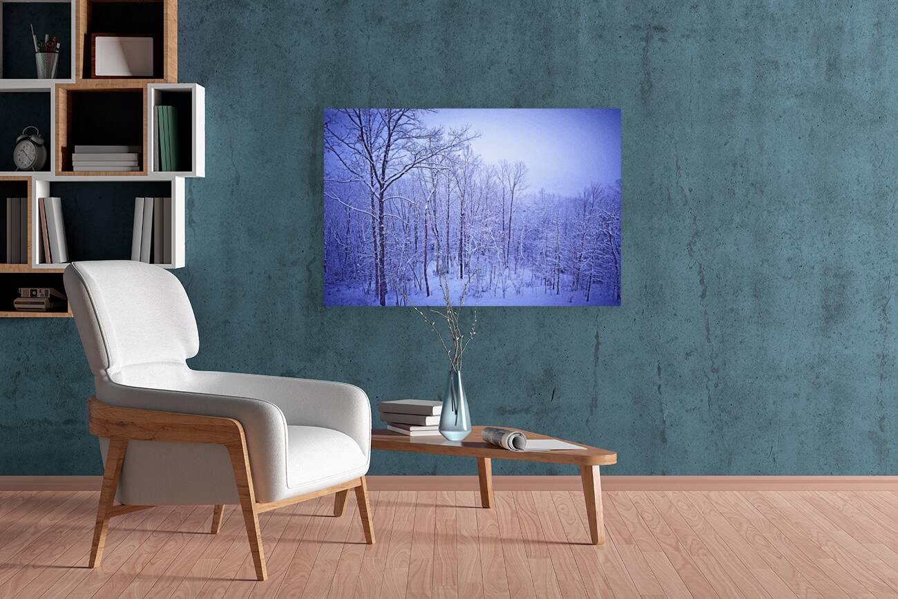 Winter Blues OS Reproduction