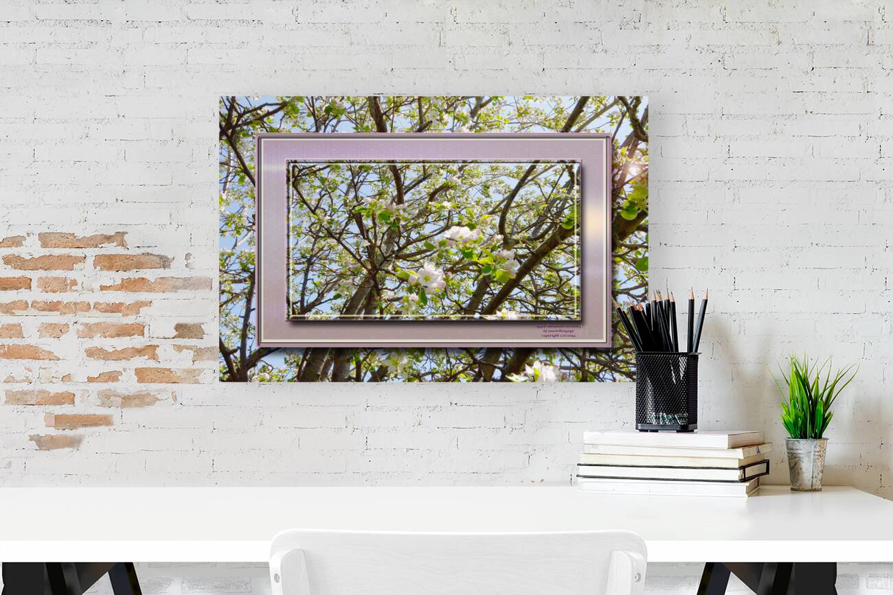 Apple Blossoms Version 3  Reproduction