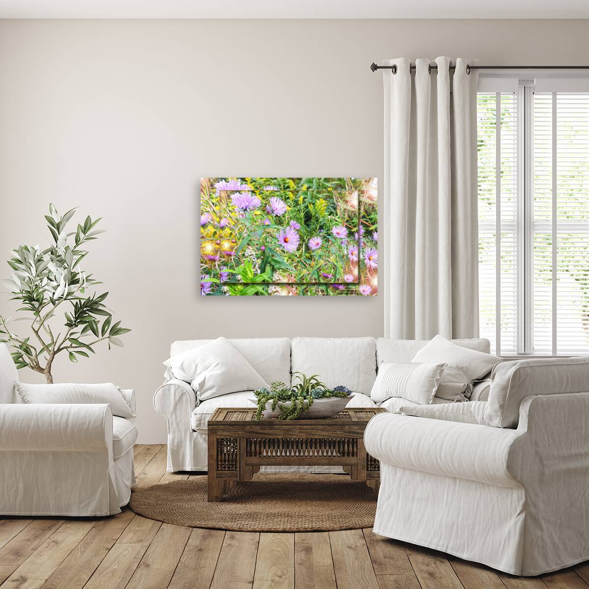 Asters 2  Reproduction