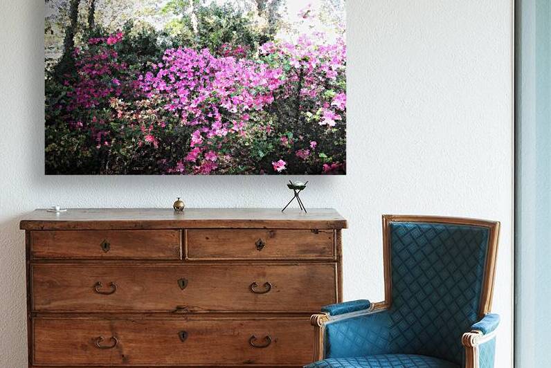 Azaleas Muted OS by PIXquisate
