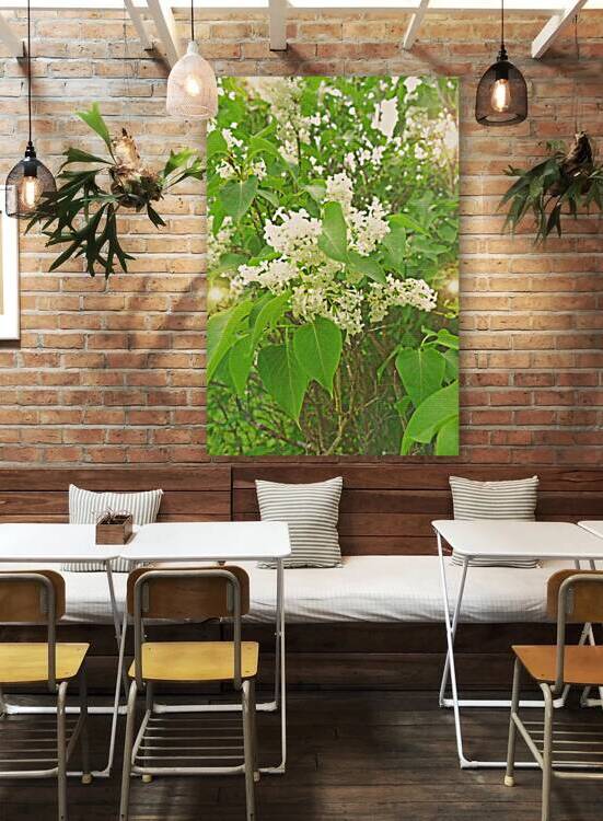 White Lilacs Ver 2.5 OS by PIXquisate