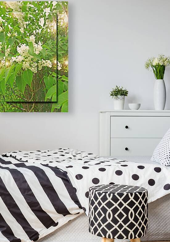 White Lilacs Vers 2  by PIXquisate