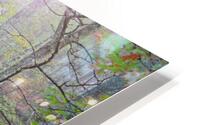 Forest Glow 2 OS HD Metal print