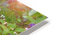 Lilacs OS HD Metal print