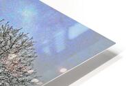 Two Winter Trees Version 2 OS HD Metal print