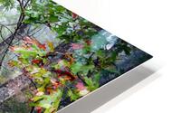 Magic Woods OS HD Metal print
