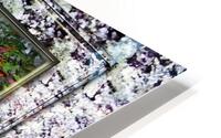 Magic Woods DF HD Metal print