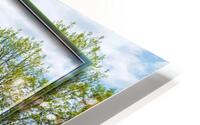 Spring View  HD Metal print