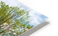 Spring View OSS HD Metal print