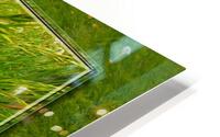Wildflowers Var 1  HD Metal print