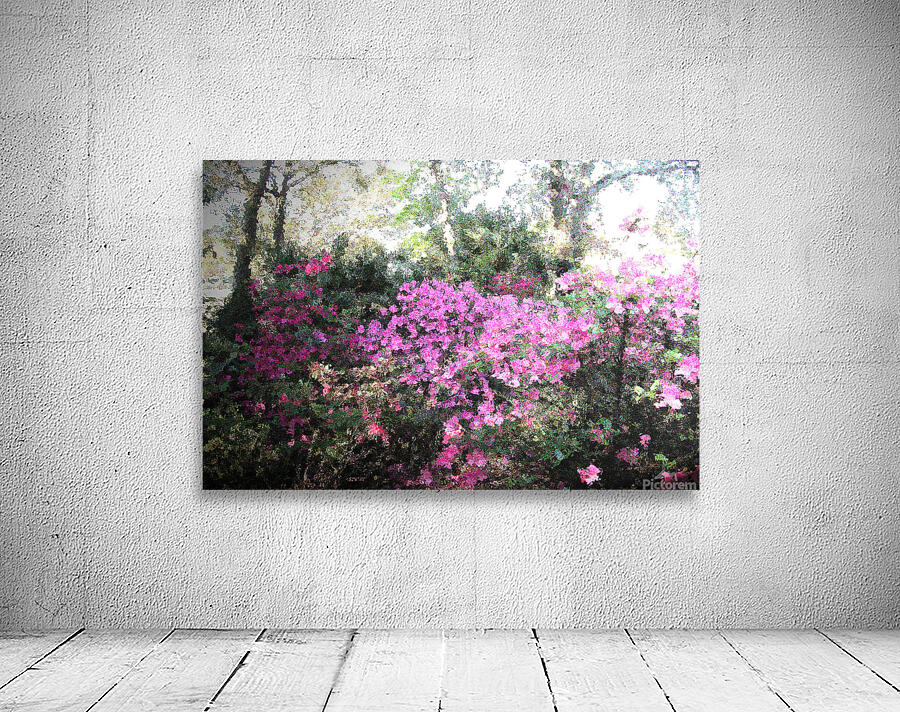Azaleas Muted OS Wall Preview