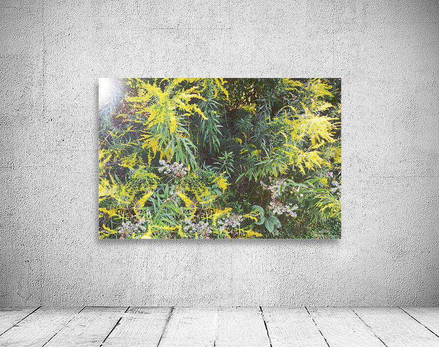 Goldenrod Version 3 OS Wall Preview