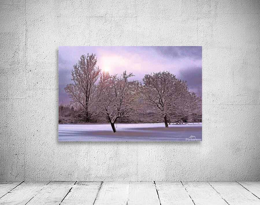 January Trees C2 Wall Preview
