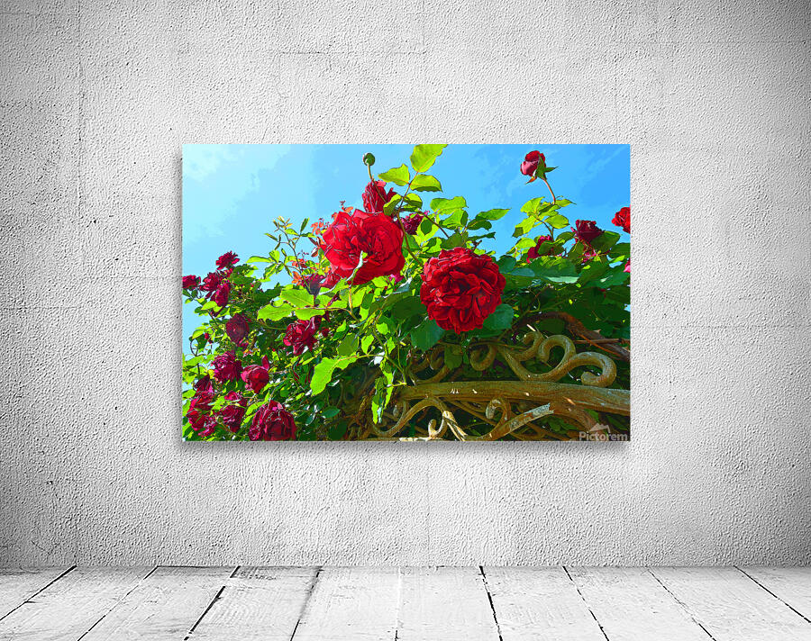 Rose Arbor OSC Wall Preview